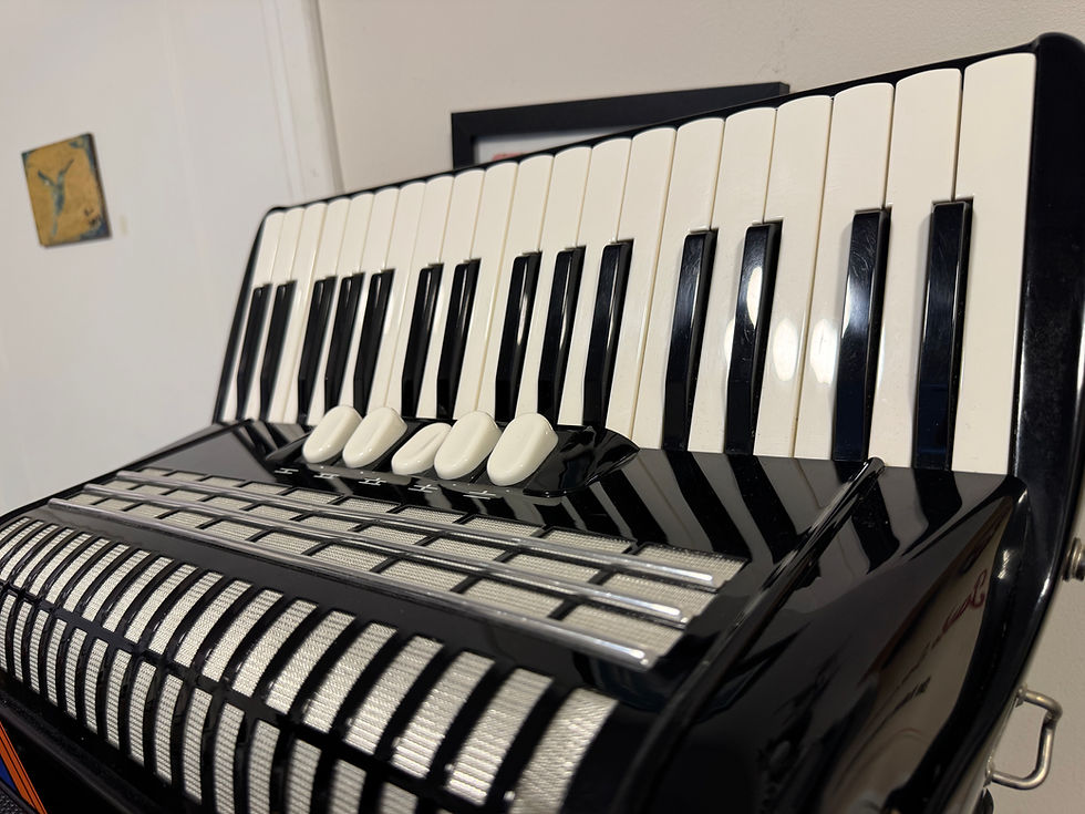 Miniatura: 🇩🇪Acordeón Alemán Hohner Concerto IIIT