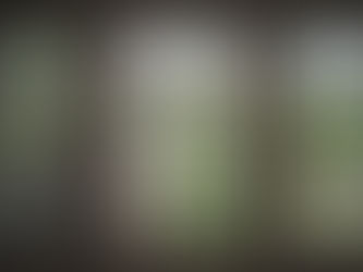 Reminiscing About The Past