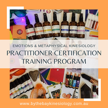 practitioner program meme.png