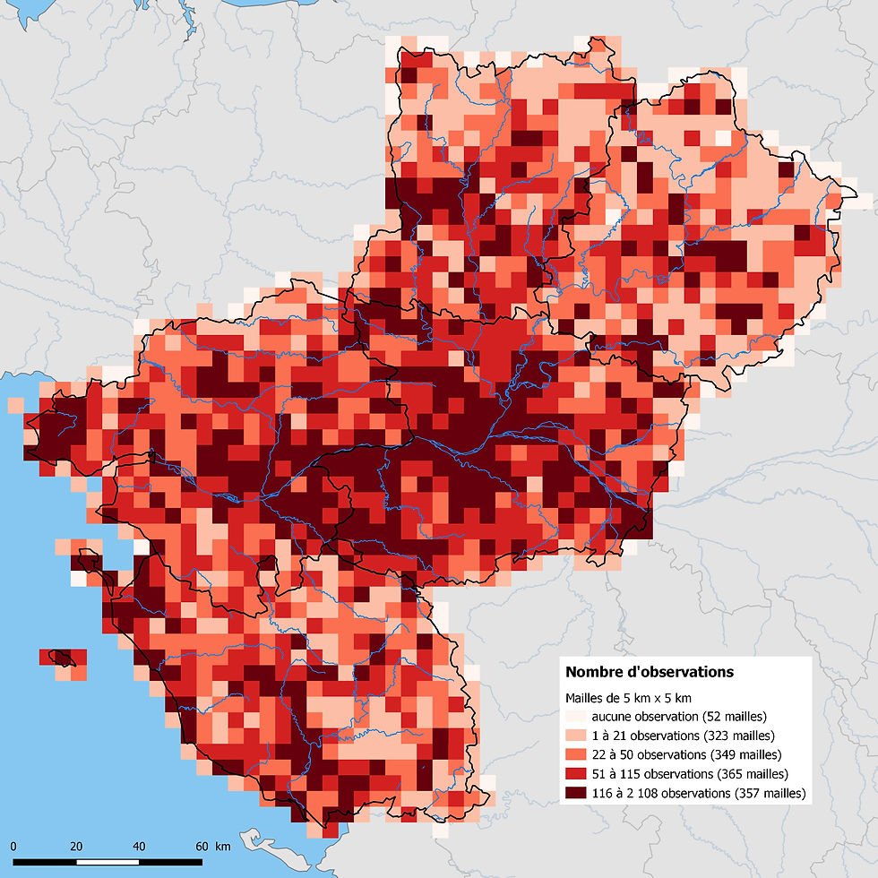 Nombre d'observations d'amphibiens et de reptiles