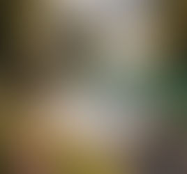 Crystal-clear alpine lake reflecting snow-capped mountains and evergreen trees, bordered by soft pink wildflowers and sunlit grasses under gentle morning light, serene untouched nature landscape representing divine subtlety and gentleness.