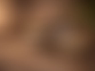 Still life with a shallow stream flowing over stones, a stone bowl holding a white lotus flower, a small crown resting nearby, a lit candle, old books, and rolled parchment, arranged in soft, earthy light to suggest natural order and quiet restraint.