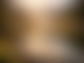 Sunrise over a still alpine lake reflecting snow-capped mountains and pine forests, golden light spreading across calm water in a quiet, expansive landscape.