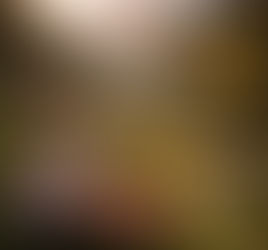 Sunlit alpine meadow filled with pink and white wildflowers beside a calm mountain lake, surrounded by evergreen forests and snow-capped peaks under soft daylight, symbolizing divine love.