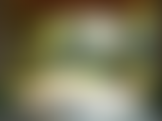 Your Ultimate Guide to Workout Pedia: Essential Tips and Tricks for Every Fitness Level