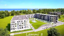 lammi8.webp