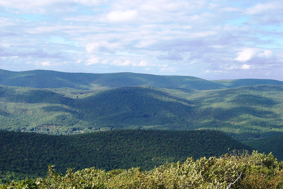 photo of countryside hill