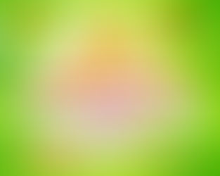 2nd Anniversary Promo