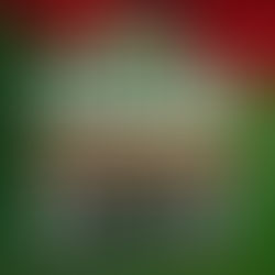 𝐏𝐅𝐂𝐂𝐎-𝐂𝐋𝐑𝐋 𝟐𝟒𝐭𝐡 𝐚𝐧𝐧𝐢𝐯𝐞𝐫𝐬𝐚𝐫𝐲 𝐁𝐔𝐒𝐈𝐍𝐄𝐒𝐒 𝐑𝐎𝐀𝐃𝐒𝐇𝐎𝐖