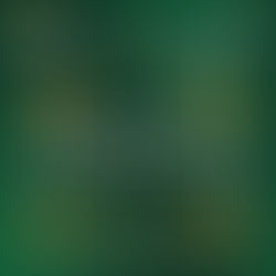 𝐇𝐚𝐩𝐩𝐲 𝐌𝐨𝐧𝐝𝐚𝐲 𝐟𝐫𝐨𝐦 𝐏𝐚𝐬𝐜𝐡𝐚𝐥 𝐂𝐨𝐨𝐩.