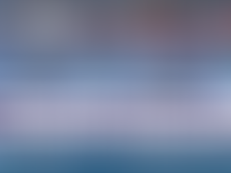 Resultados preliminares do Primeiro Mutirão EcoAtalaia 