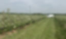 IMG_5937.jpeg