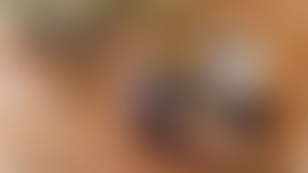 陶工房ほうき　うつわの仕事/2026spring　のお知らせ