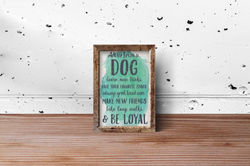 Advice from a Dog
