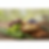 Rectangle.png