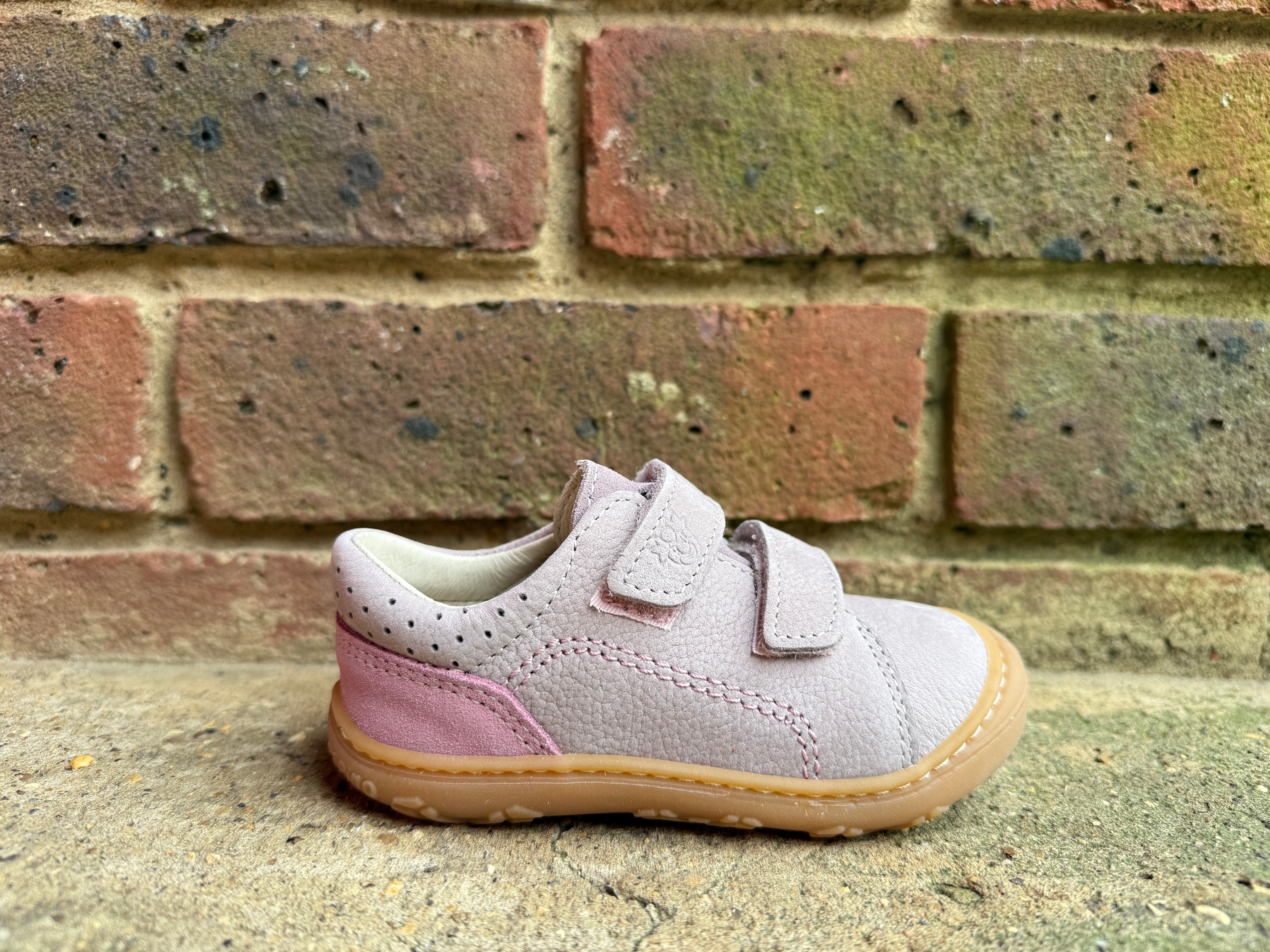 Ricosta Tommy Viola/Malve