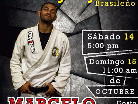 Próximo Seminario 13 y 14 de Octubre