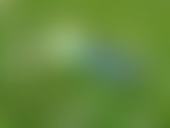 Dejé de entrenar, como me afectará?