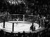 Campeonato de MMA - BOX - GRAPPLING - KICKBOXING