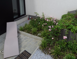 DSC04640_edited_edited