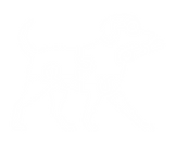 ColLab Brand White.png