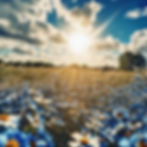 blue skies with the sun shining.jpg