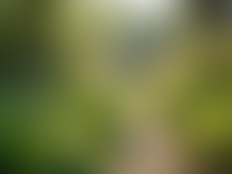 The Importance of Sustainable Living in Today's World