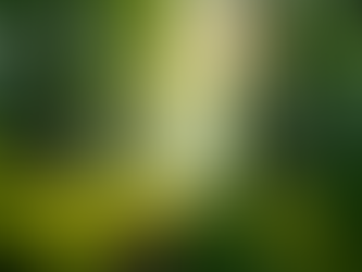 The Importance of Sustainable Living in Today's World