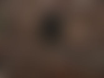 Old Fort Historic Marker, Joseph City Arizona