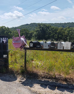 IMG_20200626_103402314_HDR_edited