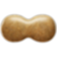PTI_0000s_0000s_0010_QSGA.png