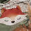 Miniature : Couverture Renard