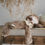 Miniature : Doudou peluche méliParesseux