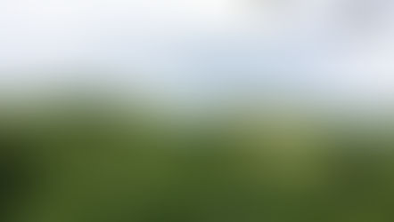 Jak dbać o środowisko na co dzień