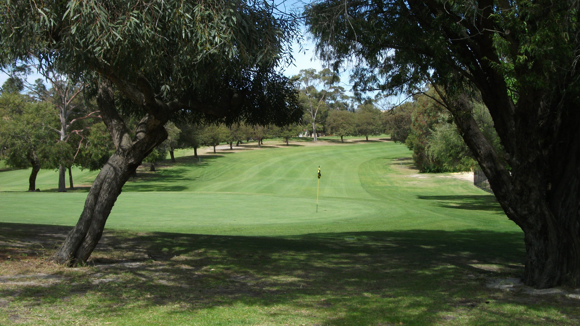 Golf Course Bayswater St Embletongolf