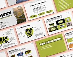 Charte graphique Diszy