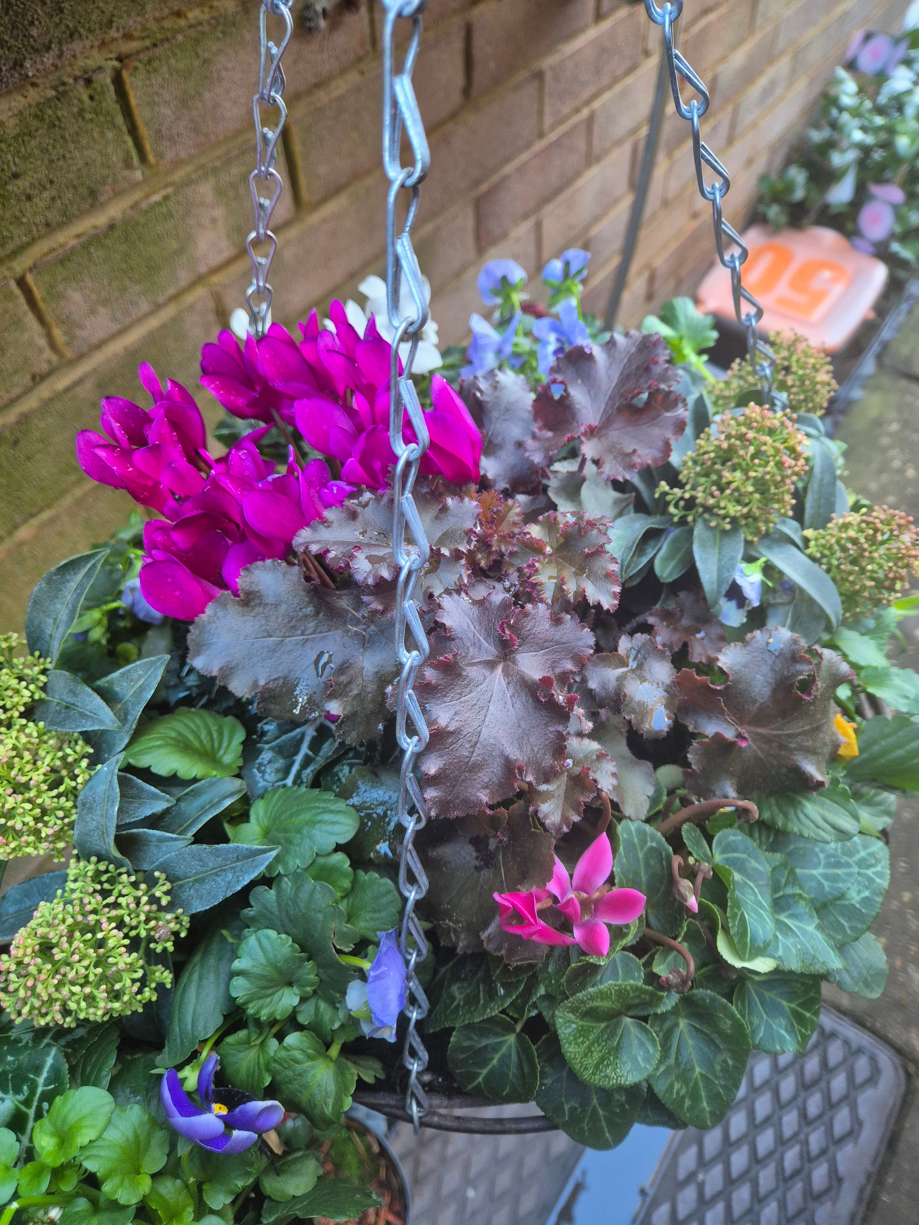 14" filled hanging basket