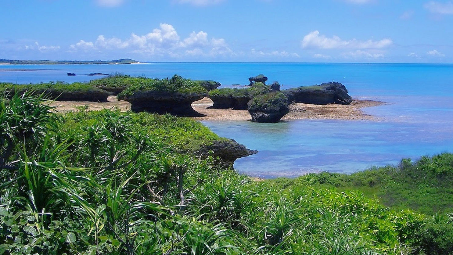 西表島 いりおもてなし ボートチャーター 釣り シュノーケル