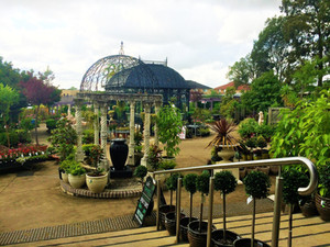 Gallery Cafe Harvest Bonnyrigg Garden Centre Gallery Cafe Harvest Bonnyrigg Garden Centre