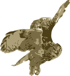 Owl__edited.png