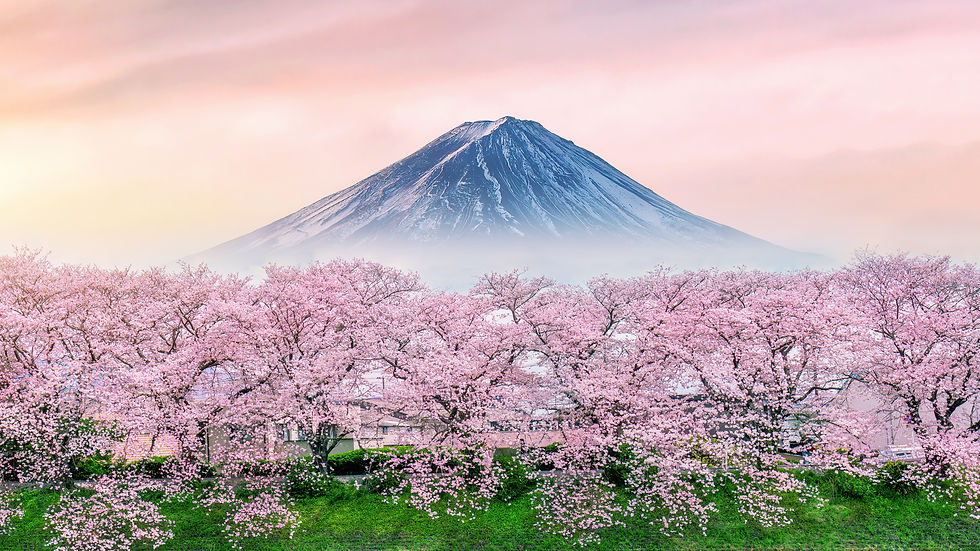 shutterstock_2740971445.jpg