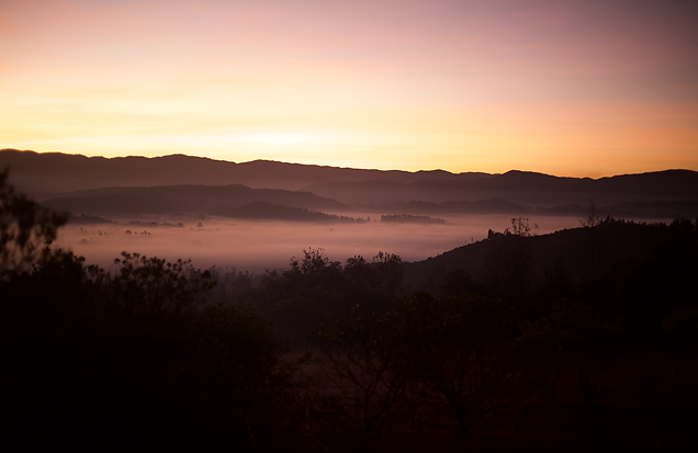 Screenshot 2024-05-03 at 00.32.29.png