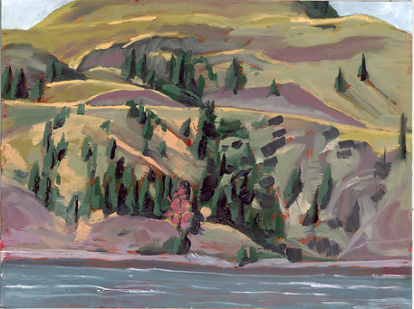 1 vernon20250701_11593814.jpg