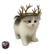 Renley Baratheon transparent.png