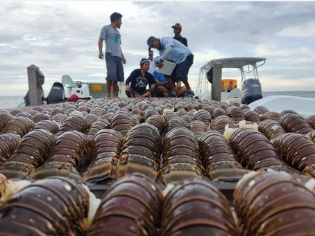 Marine Exports See Boost in August 2025