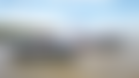 CARICOM, Commonwealth Condemn Guatemalan Incursions into Belize