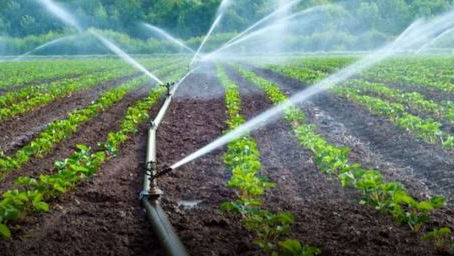 Belize Moves Early to Help Farmers Ahead of Drought