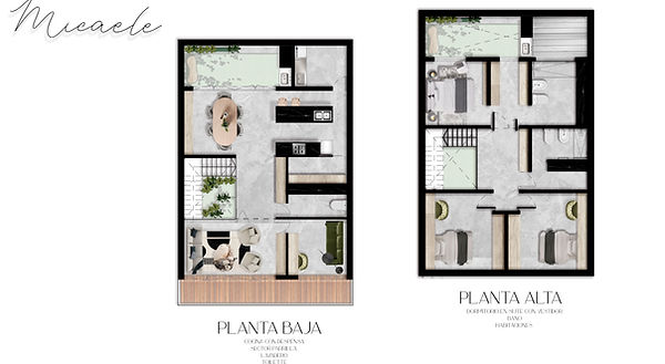 PLANTAS EDITADAS (2).jpg