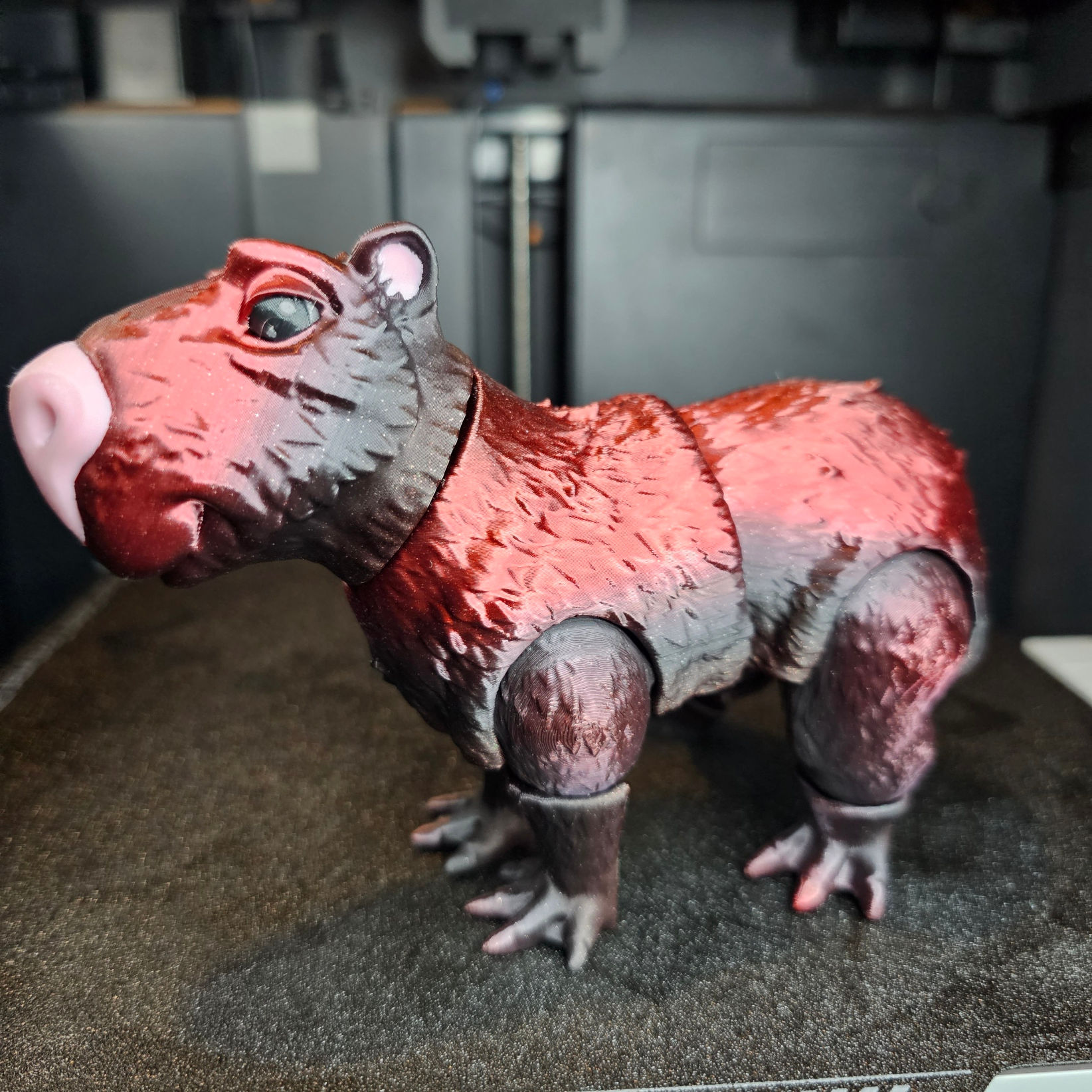 Shiny Capybara Red/Black