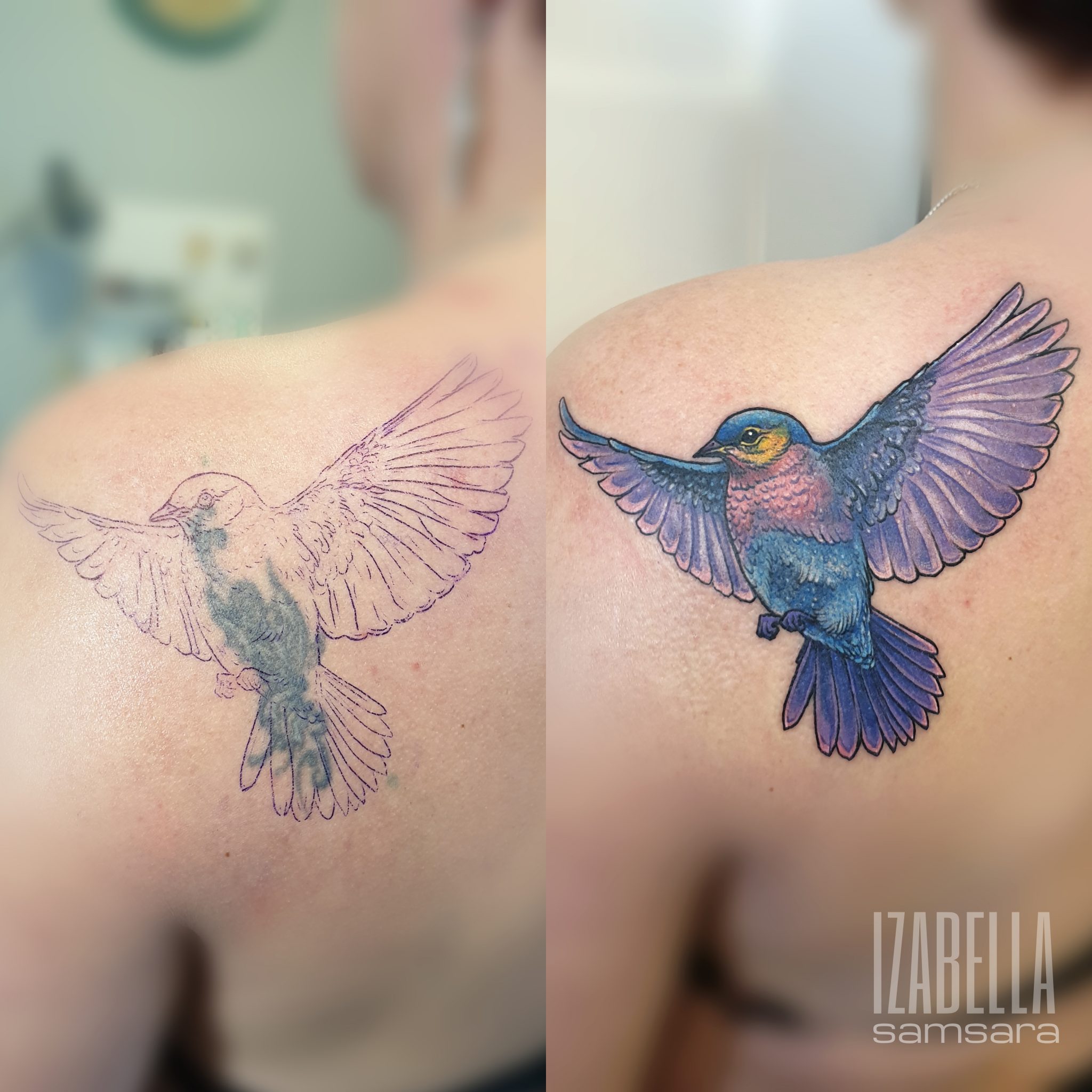 A vibrant cover-up tattoo on a shoulder, depicting a colorful bird in mid-flight. The bird features bright blue and purple wings, a soft orange and yellow chest, and finely detailed feathers. The design elegantly covers a previous faded tattoo of a similar bird silhouette, showcasing a transformation from a dull outline to a lively, artistic illustration.